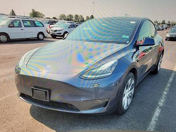 TESLA MODEL Y 2020 5YJYGDEE9LF030310 image